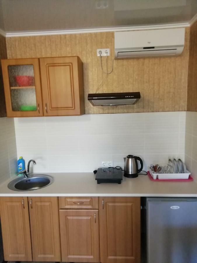 الشقق الفندقية زاتوكافي  Solnechnaia Dacha المظهر الخارجي الصورة