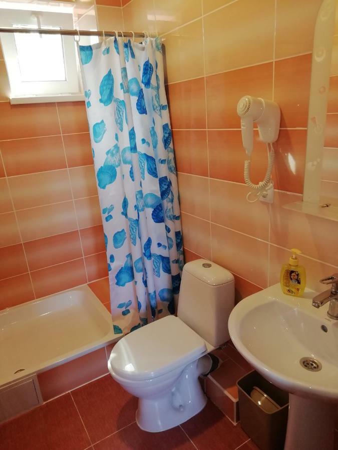 الشقق الفندقية زاتوكافي  Solnechnaia Dacha المظهر الخارجي الصورة
